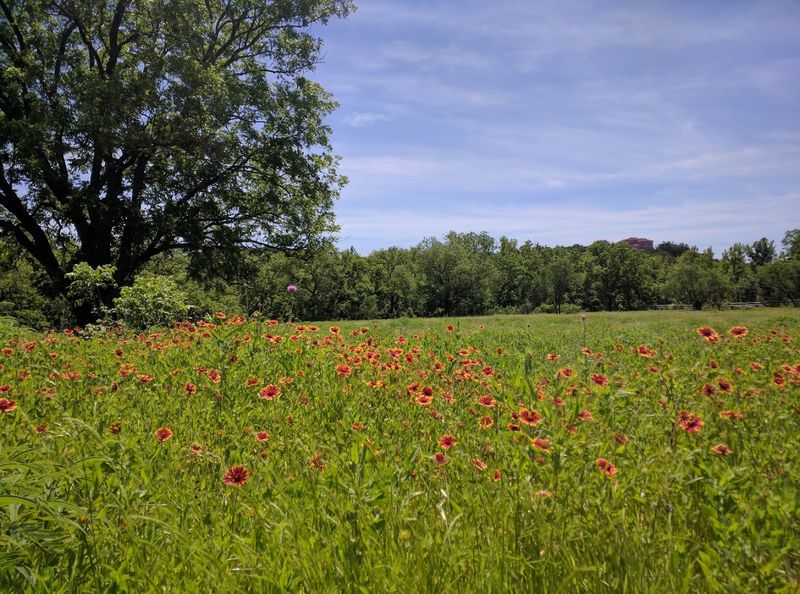 Why the Texas Hill Country Setting Makes Everything Feel Different Why the Texas Hill Country Setting Makes Everything Feel Different