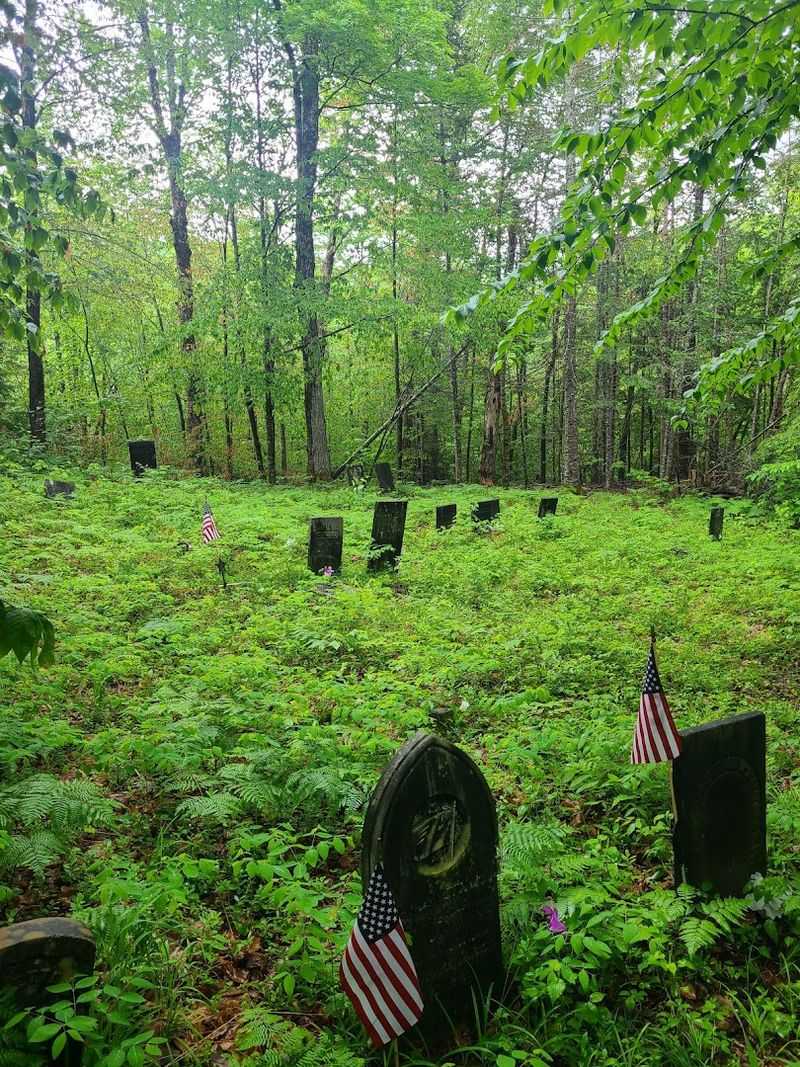 Wildcat Cemetery (Thornton Gore) in Thornton