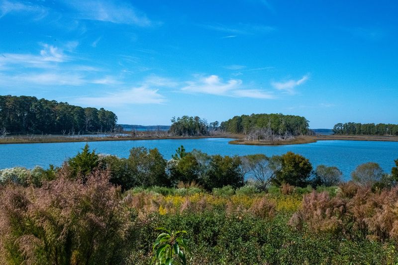 Wildlife, Birds, and the Living Landscape of the Park Wildlife, Birds, and the Living Landscape of the Park