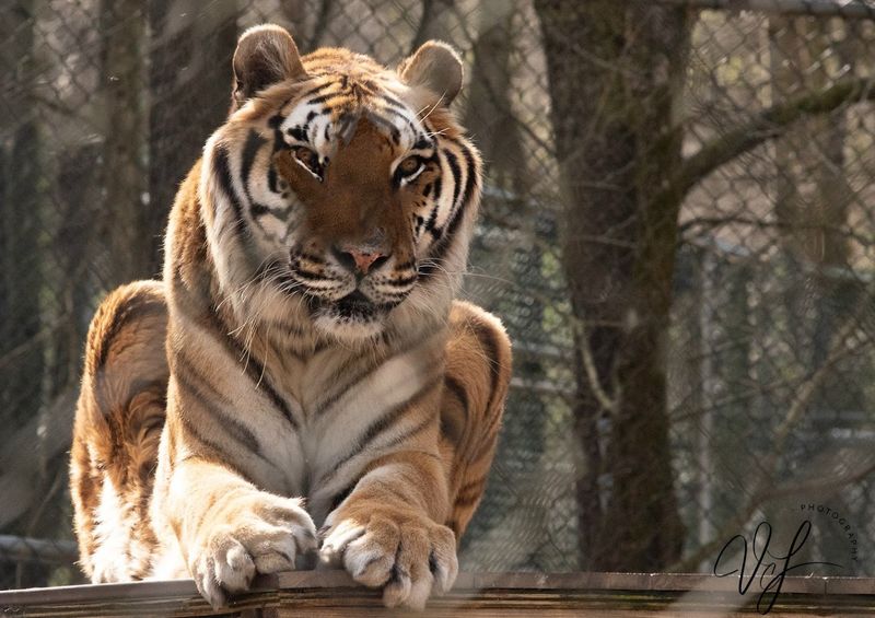 Wildlife Education That Actually Sticks With You Wildlife Education That Actually Sticks With You