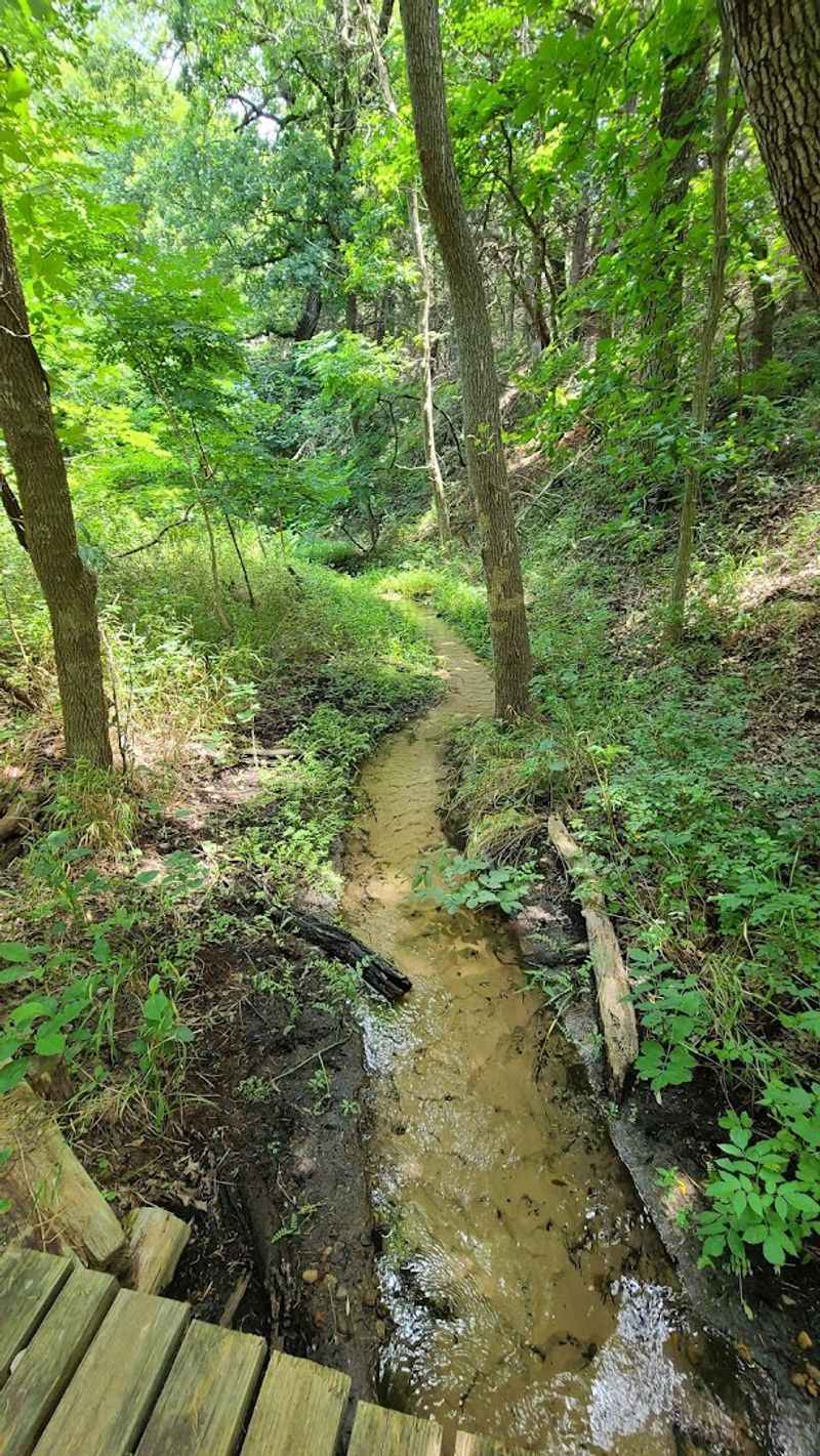 Wildlife Encounters Around Every Bend