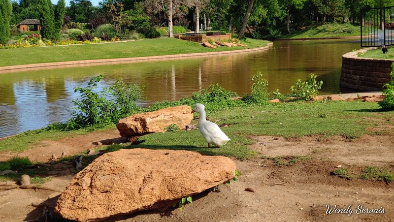 Wildlife Encounters Inside the Garden