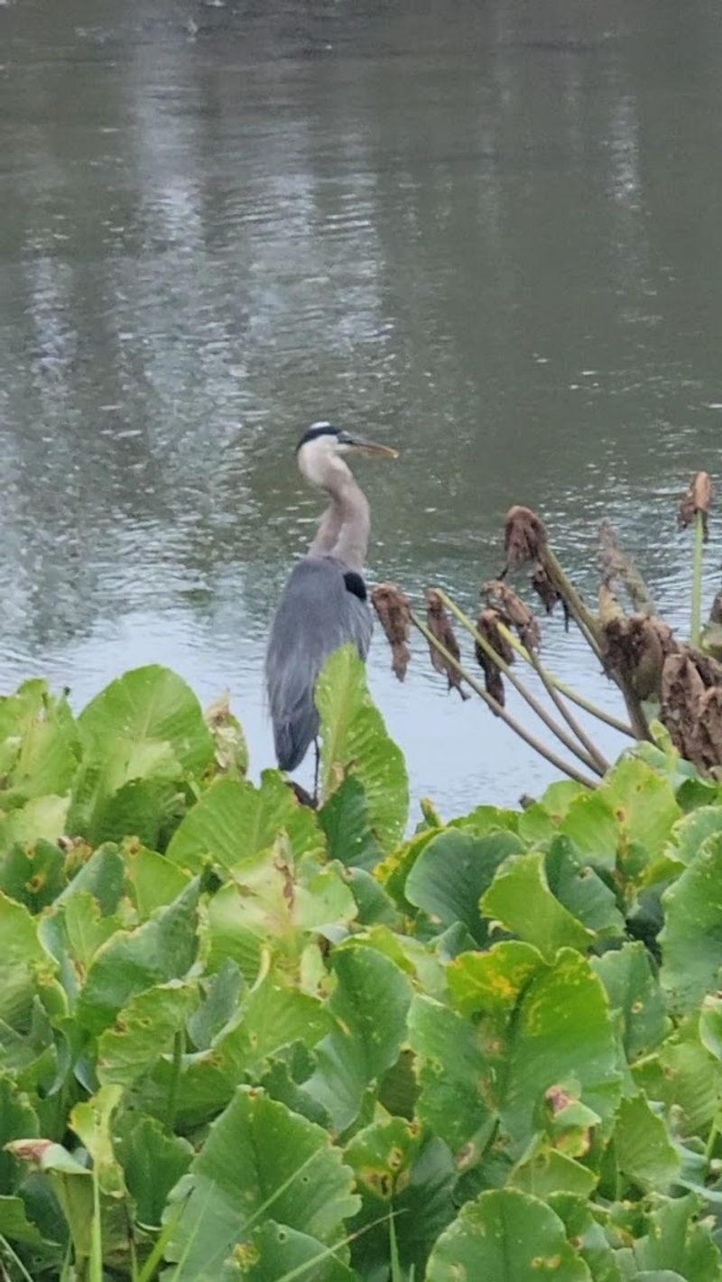 Wildlife Encounters That Will Stop You Mid-Step