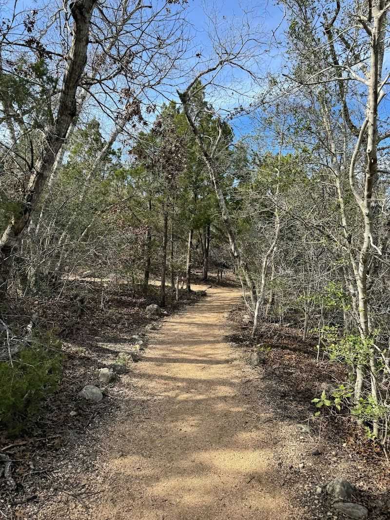 Wildlife Encounters on the Trails, From Deer to Bobcats