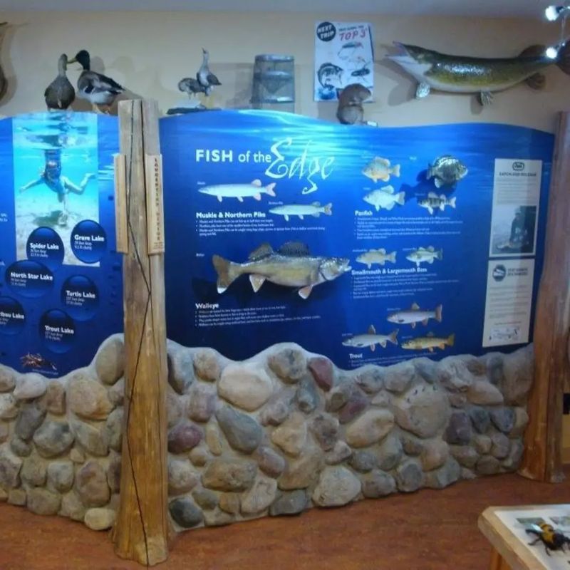 Wildlife Exhibits That Bring the Forest Inside Wildlife Exhibits That Bring the Forest Inside