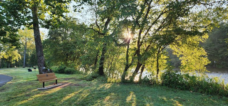 Wildlife Views That Surprise You Around Every Bend