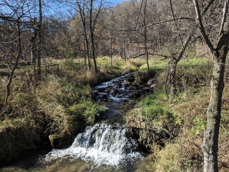 Wildlife Watching Along the River Valley Floor