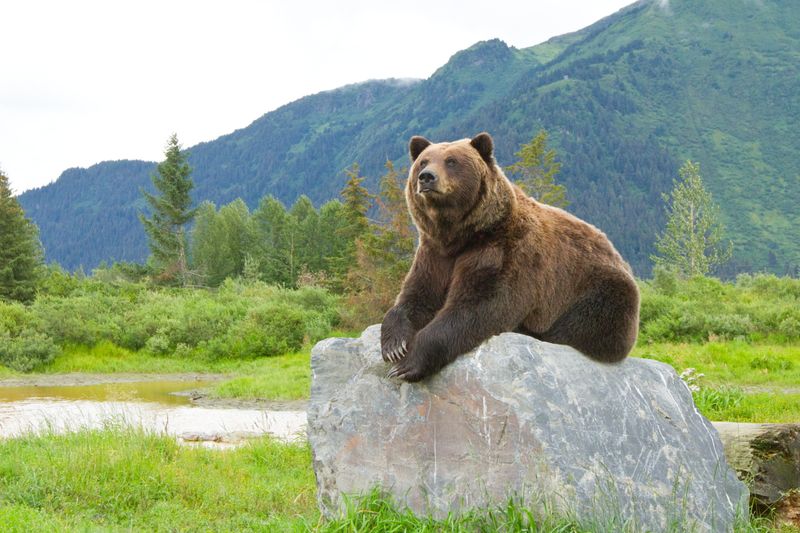 Wildlife Watching That Starts Before You Even Unpack Wildlife Watching That Starts Before You Even Unpack