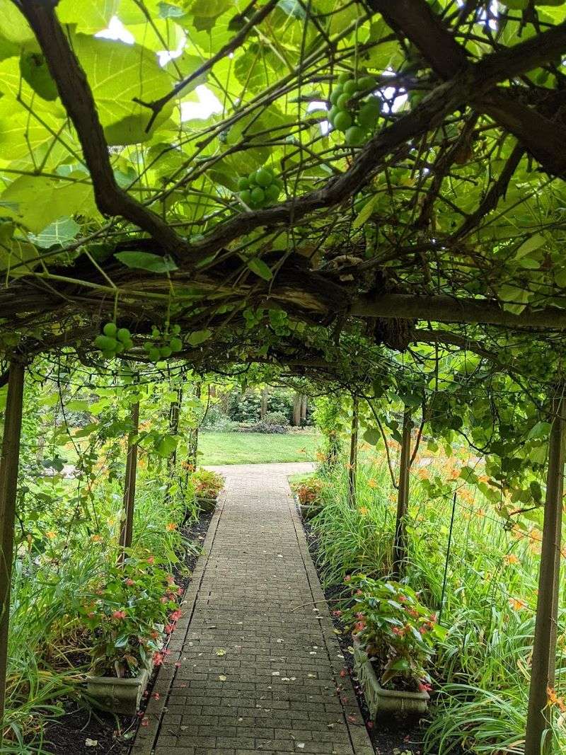 Wildlife Watching and the Butterfly Garden