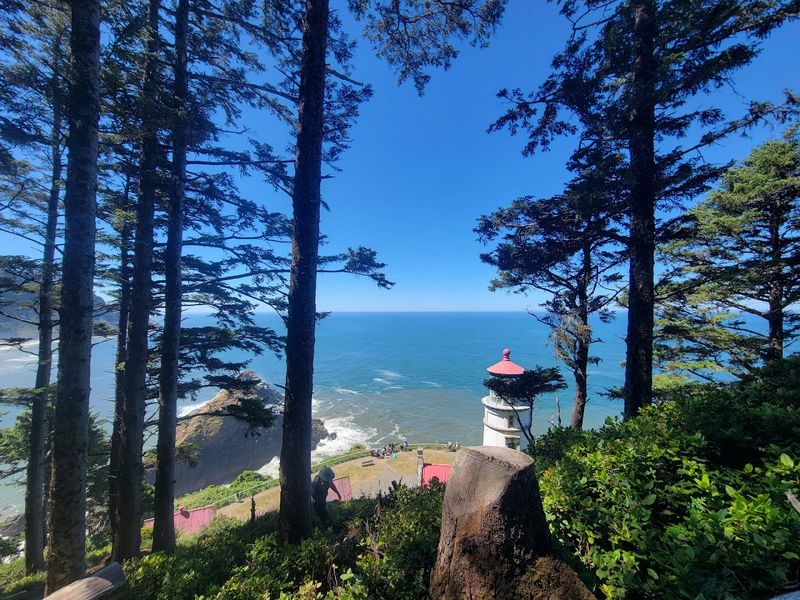 Wildlife Watching at Heceta Head Wildlife Watching at Heceta Head