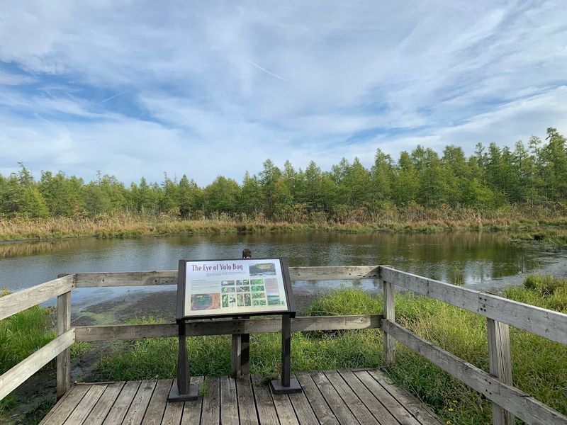 Wildlife Watching at Volo Bog Through Every Season