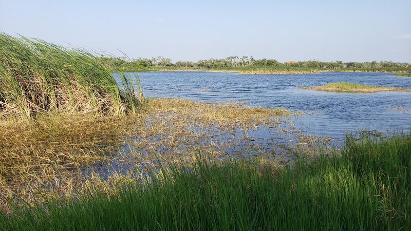 Wildlife and Birdwatching, Aransas Bay's Natural Side
