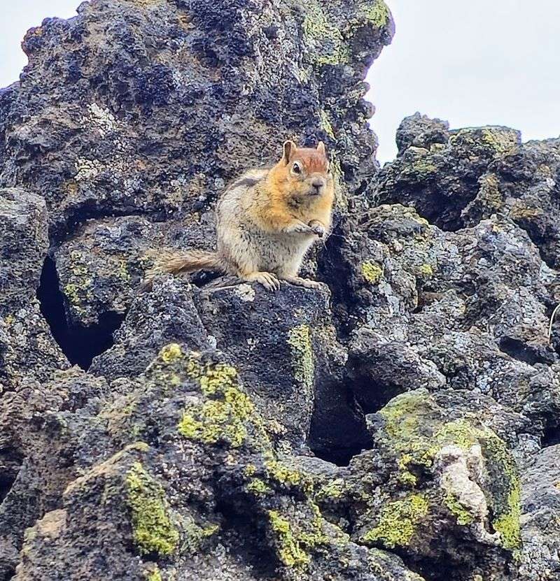 Wildlife and Birdwatching Around the Center