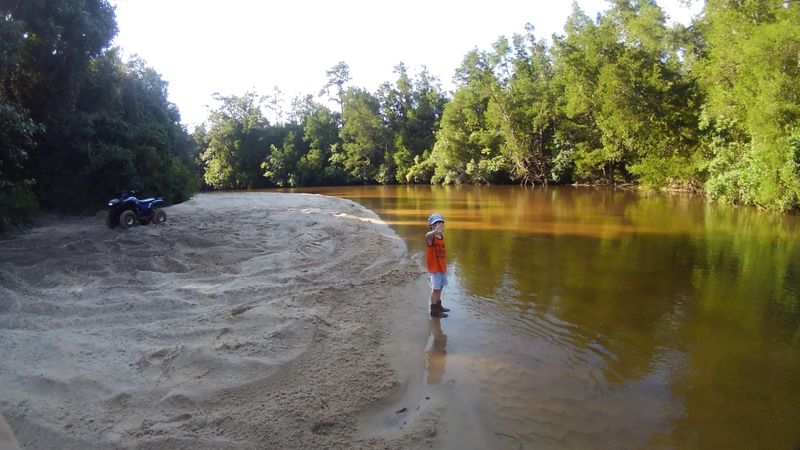 Wildlife and Fishing That Reward the Patient Observer