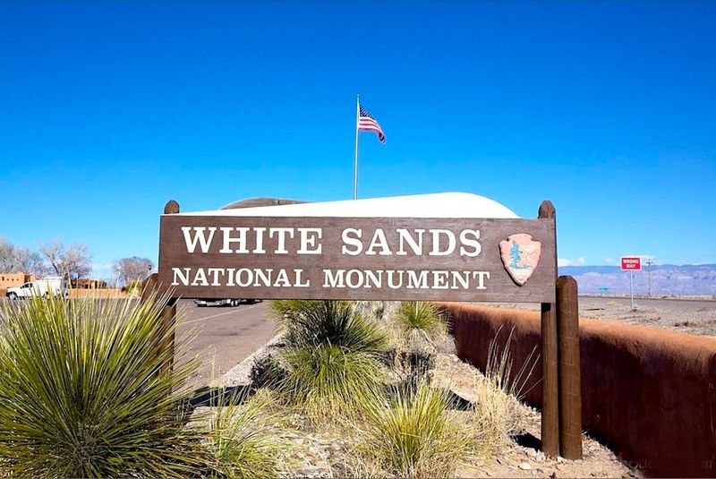 Wildlife and History Hidden Beneath the Surface
