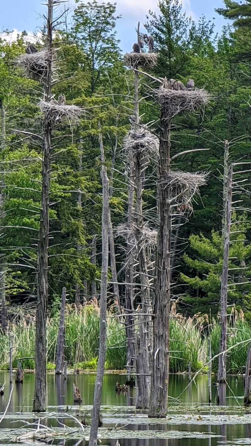 Wildlife and Natural Beauty Worth the Trip Alone