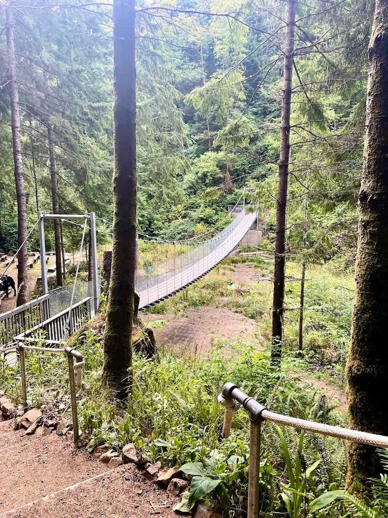 Wildlife and Nature Along the Coastal Forest Edge