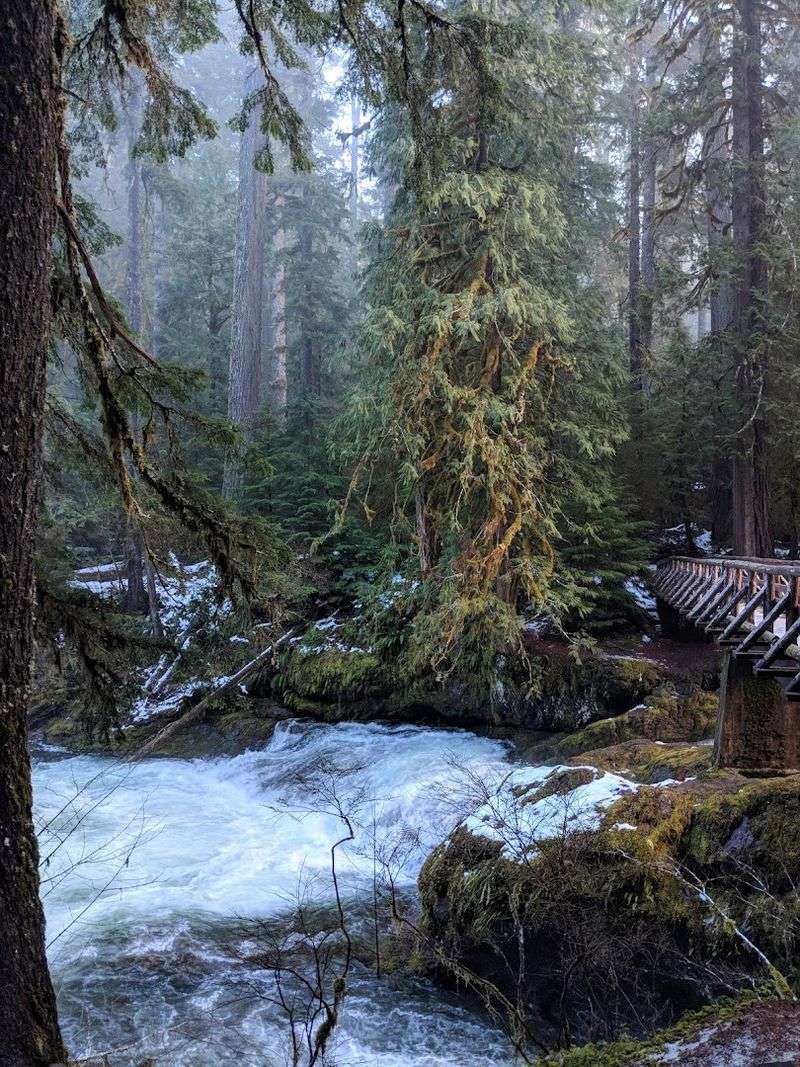 Wildlife and Nature Along the Trail