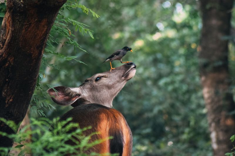 Wildlife and Nature That Rewards Patient Visitors Wildlife and Nature That Rewards Patient Visitors