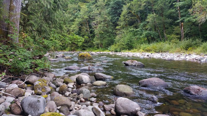Wildwood Recreation Site, Sandy River, Oregon