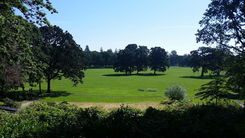 Willamette University's Field and the Park's Athletic Side