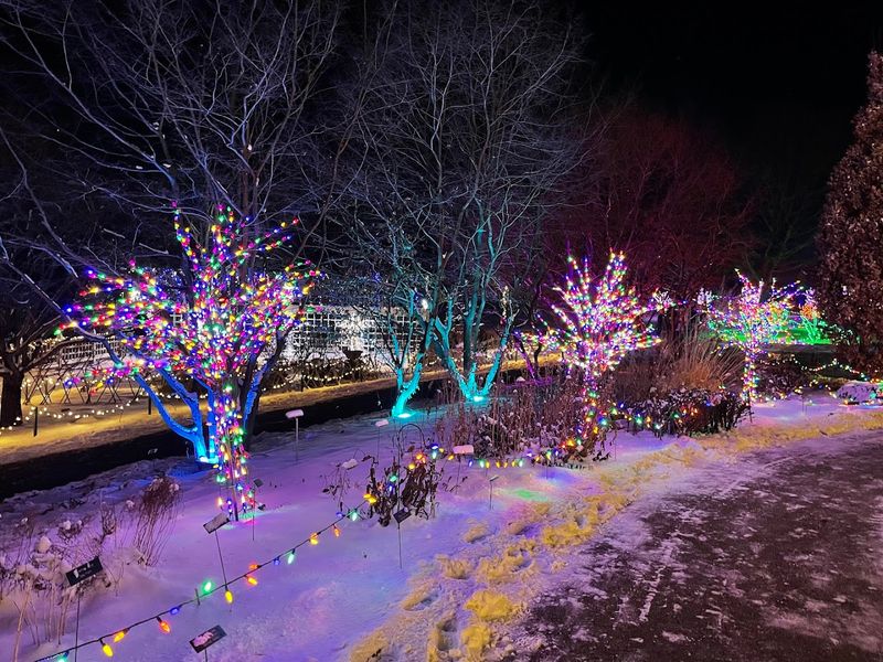 Winter Lights Walking Tour That Transforms the Grounds Winter Lights Walking Tour That Transforms the Grounds
