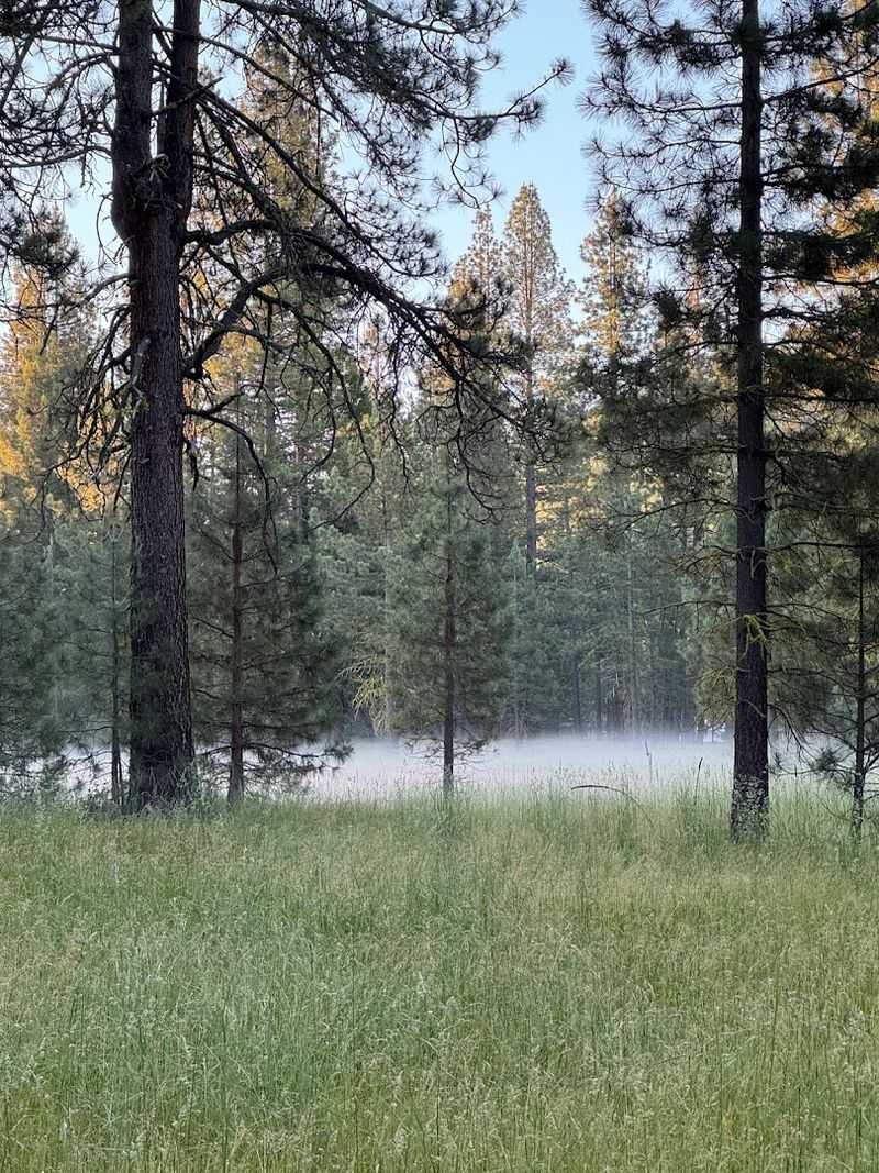 Winter in the Lost Sierra: Snow, Silence, and Snowshoes