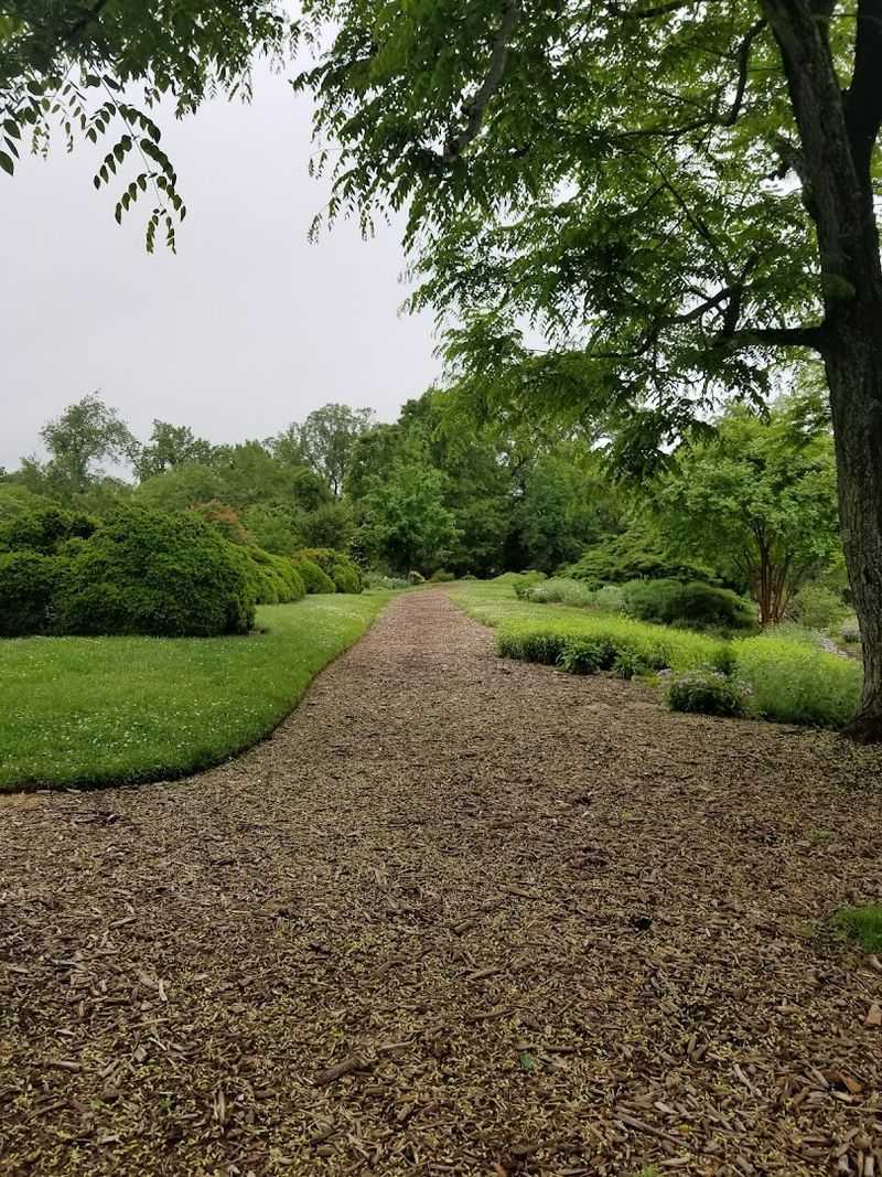 Woodland Walks and Meadow Paths That Clear Your Mind Instantly