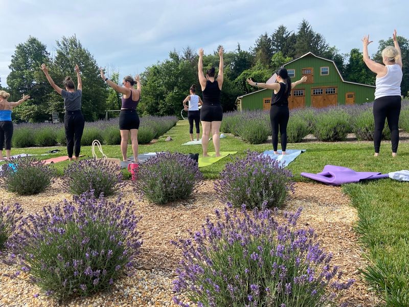Workshops and Classes That Are Actually Worth Your Time