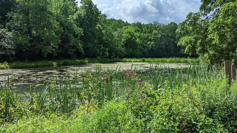World-Class Birding Across 700 Acres of Diverse Habitat World-Class Birding Across 700 Acres of Diverse Habitat