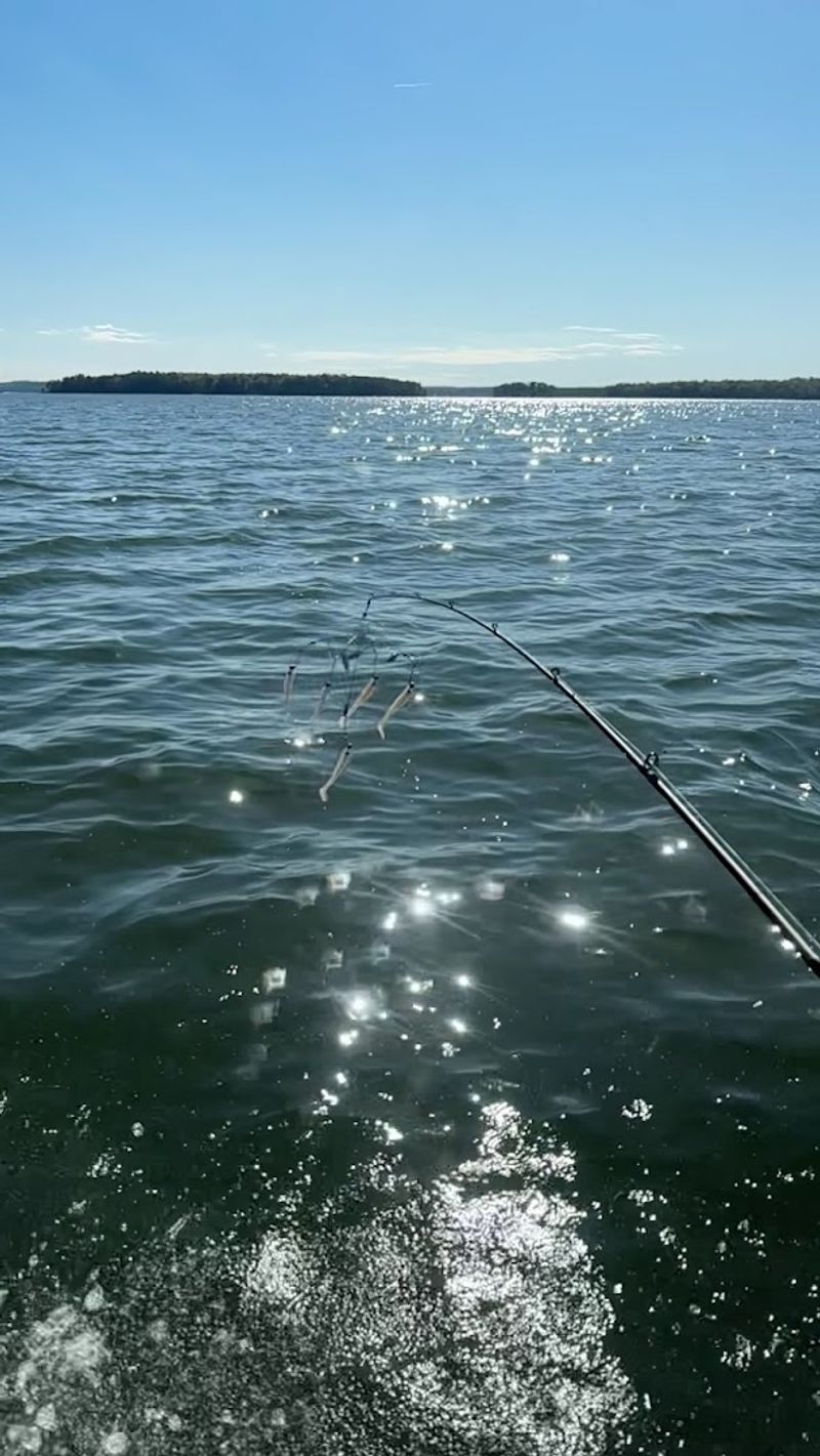 World-Class Fishing on Open Water