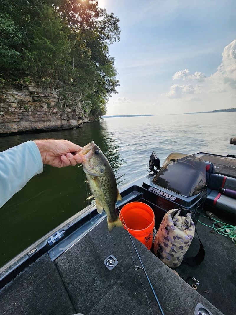 World-Class Smallmouth Bass Fishing That Earns Its Reputation
