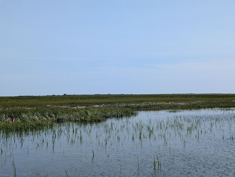 Wreck Island Natural Area Preserve Wreck Island Natural Area Preserve
