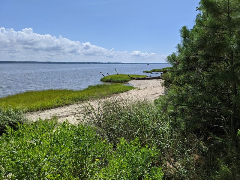 York River State Park, Fossil Beach, Williamsburg, VA