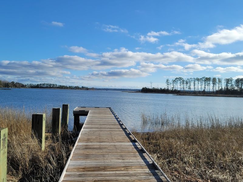 York River Views That Make You Forget Your Phone Exists York River Views That Make You Forget Your Phone Exists
