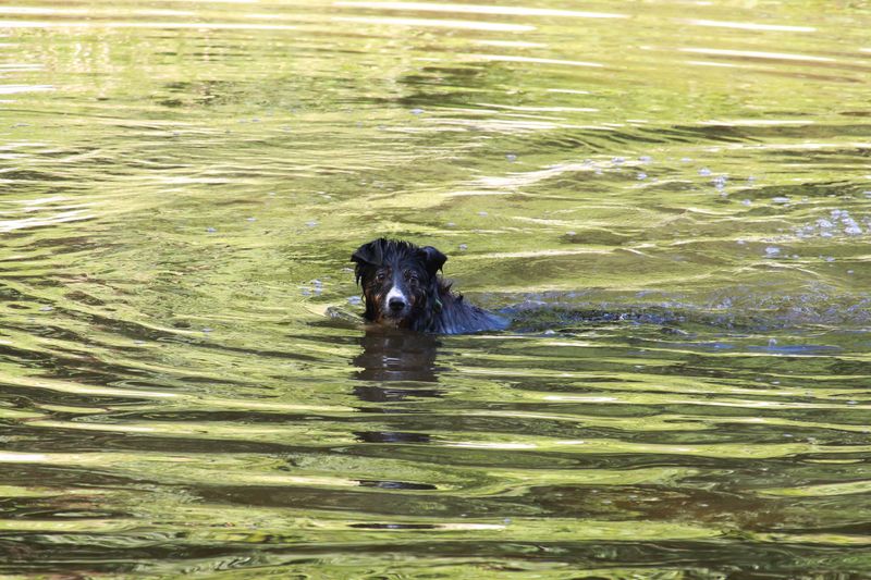 You Can Cool Off in Warm River Water You Can Cool Off in Warm River Water
