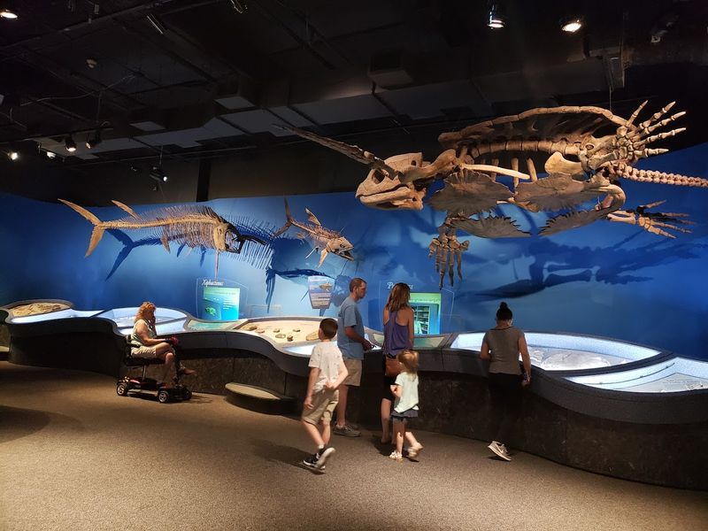 You Can Touch Live Sharks and Rays at the Touch Tank