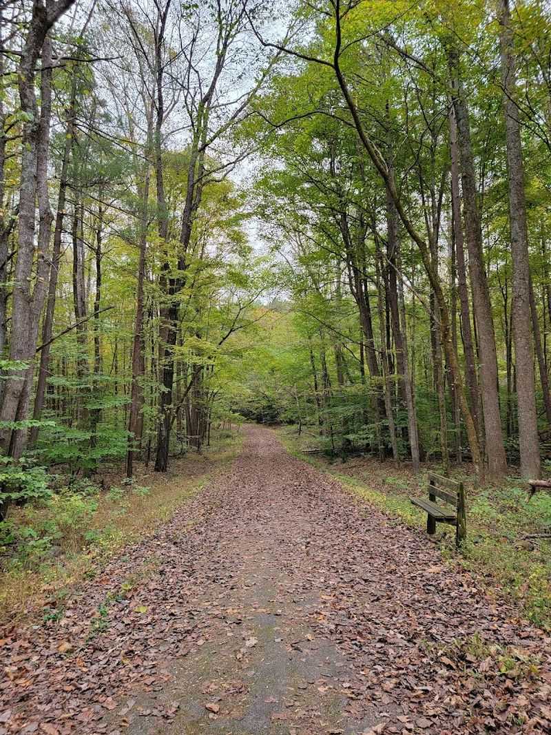 You Can Walk the 1.3-Mile Hiking Trail Here