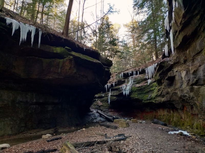You Should See The Hidden Jungle Ecosystem Here