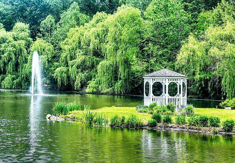 You Will Not Believe How Many Gardens Fit Here You Will Not Believe How Many Gardens Fit Here