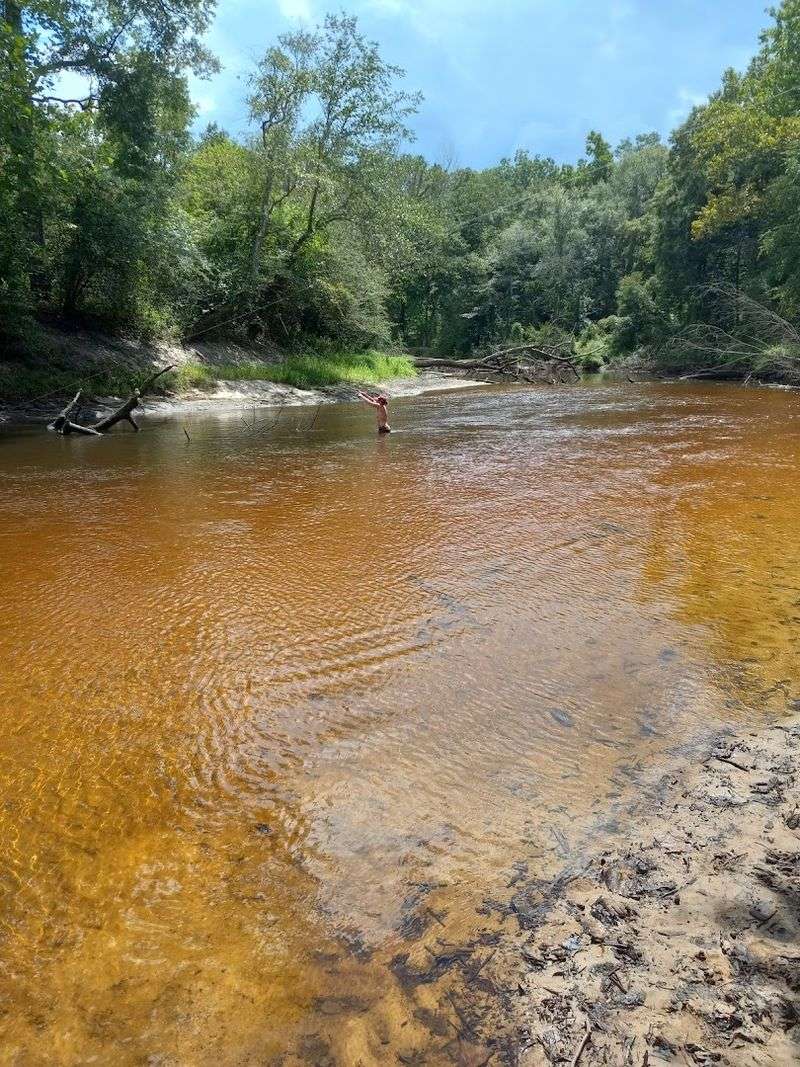 Zoar State Forest, Mattaponi River, King William, VA