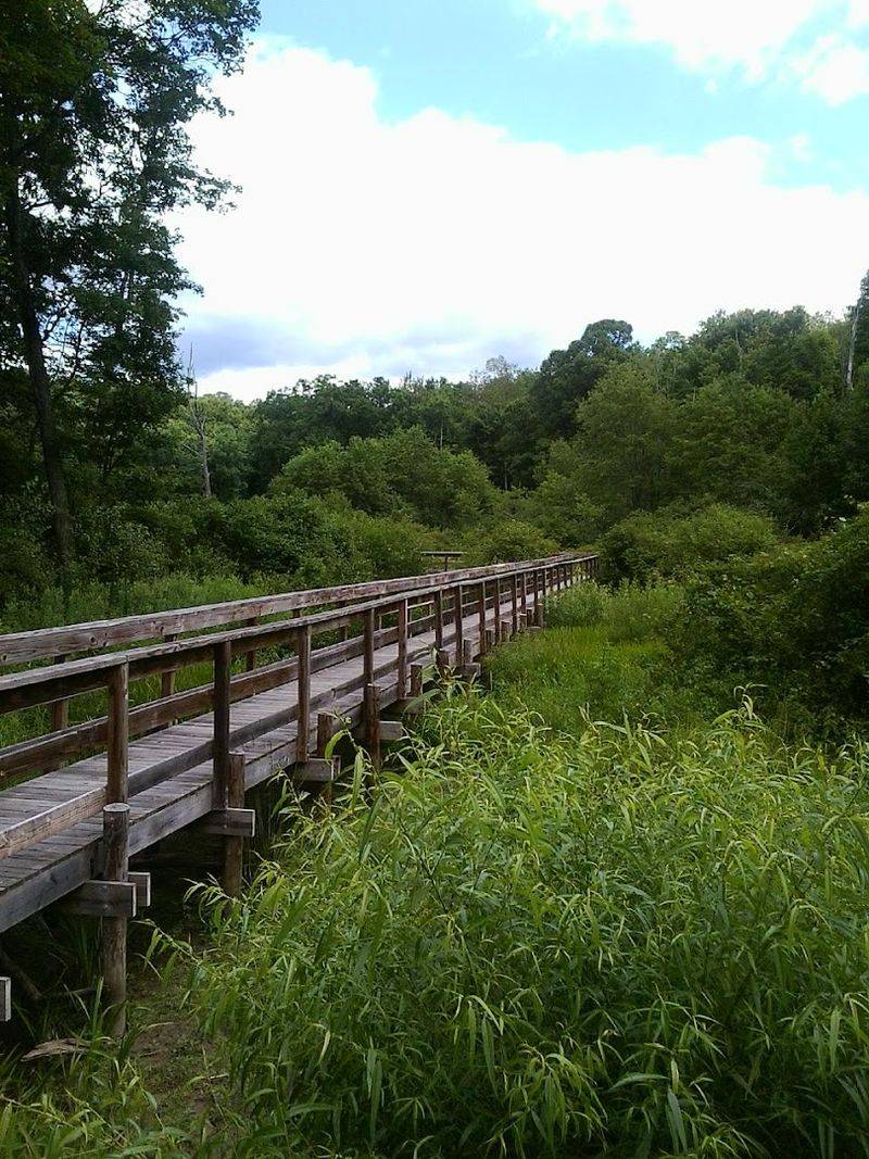 141 Bird Species Recorded Here 141 Bird Species Recorded Here