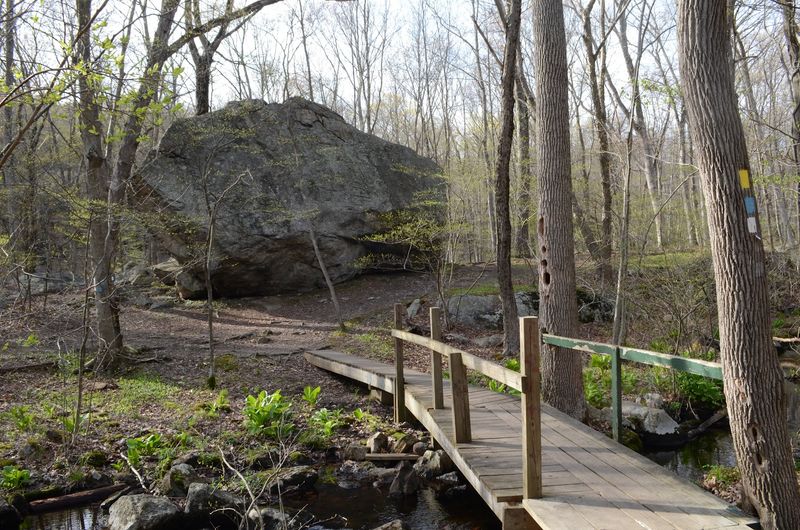 18,000 Years in One Rock