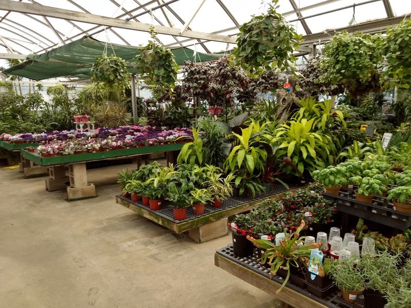 30 Greenhouses Grow Most Of The Plants Right On Site