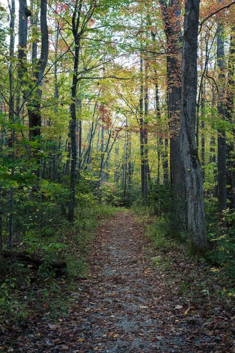 36 Miles of Mountain Hiking and Biking Trails