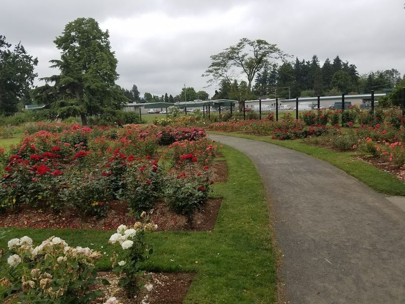 8.5 Acres of Thoughtfully Designed Green Space 8.5 Acres of Thoughtfully Designed Green Space