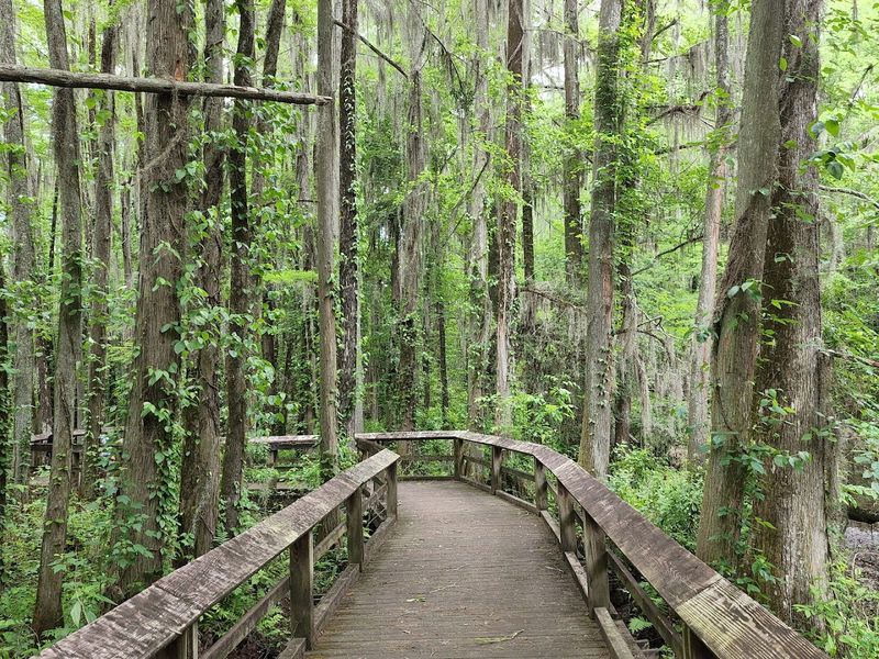 A 150-Acre Arboretum Full of Surprises Beyond the Swans