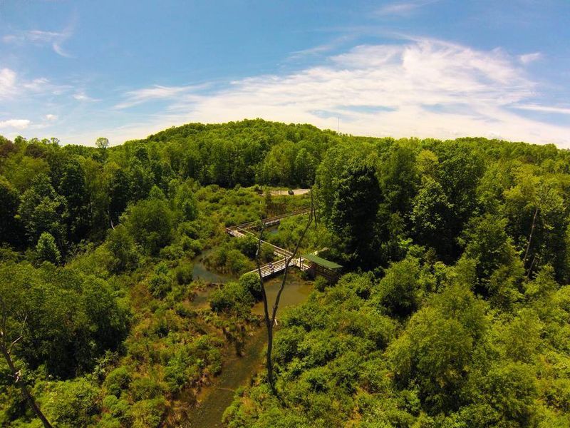 A 2006 Restoration Project Created This Wildlife Haven A 2006 Restoration Project Created This Wildlife Haven