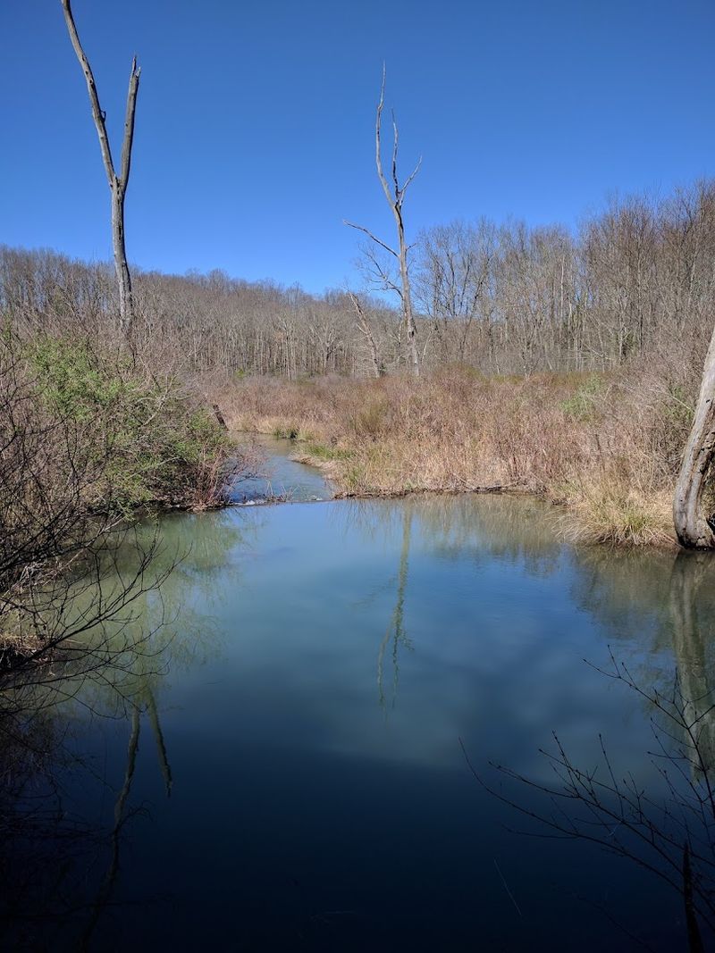 A 230-Acre Sanctuary Most Tourists Miss A 230-Acre Sanctuary Most Tourists Miss
