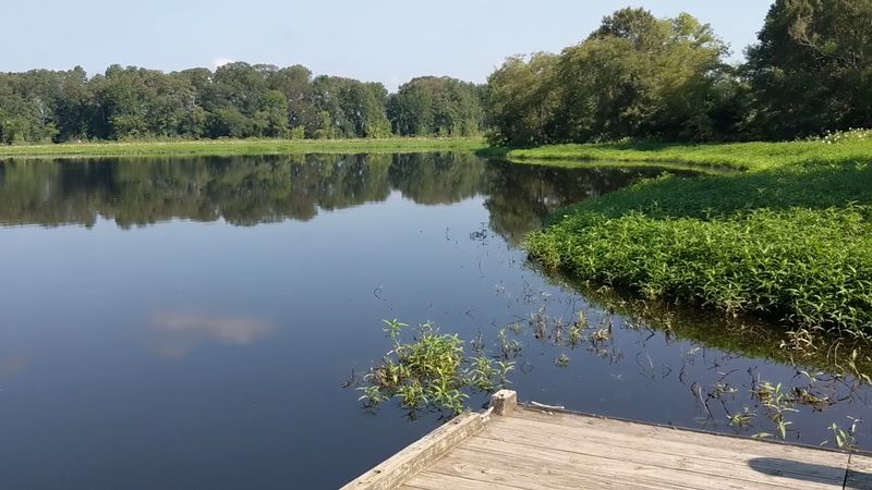 A 60-Acre Lake That Earns Every Bit of the Calm It Promises